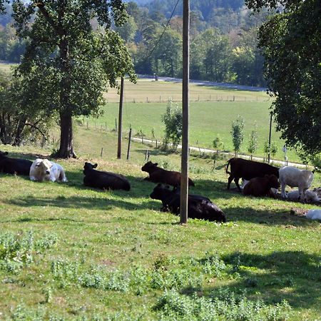 Mostheuriger Steyrdurchbruchalm Leonstein Esterno foto
