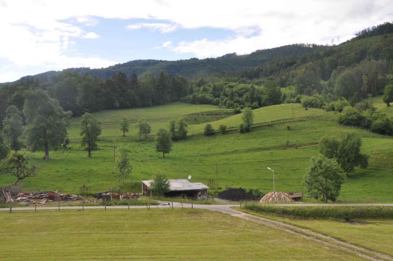 Mostheuriger Steyrdurchbruchalm Leonstein Esterno foto