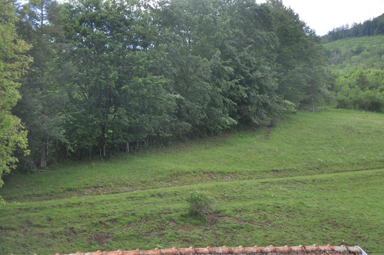 Mostheuriger Steyrdurchbruchalm Leonstein Esterno foto