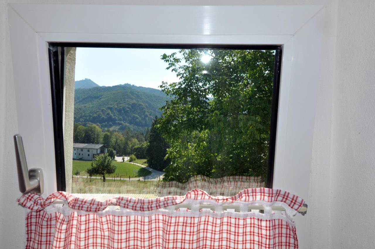 Mostheuriger Steyrdurchbruchalm Leonstein Esterno foto