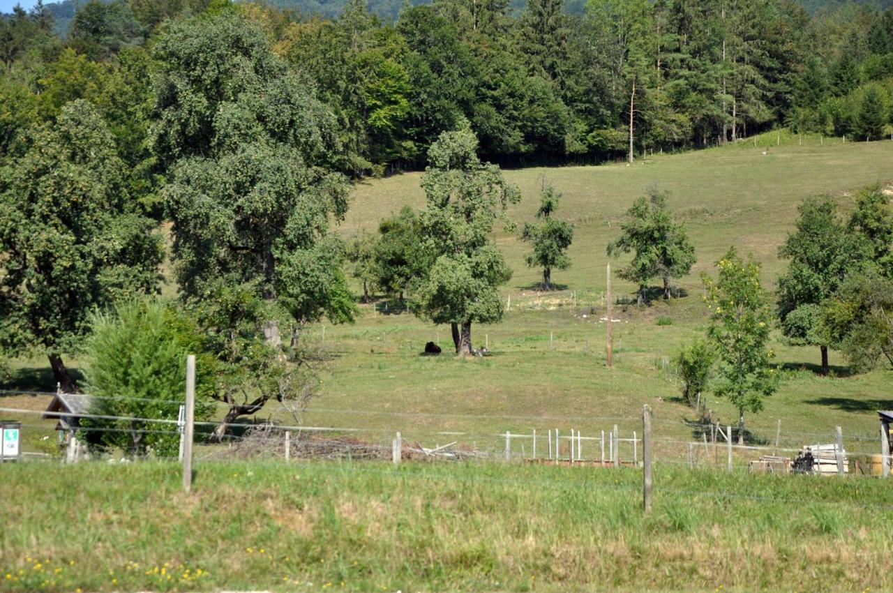 Mostheuriger Steyrdurchbruchalm Leonstein Esterno foto